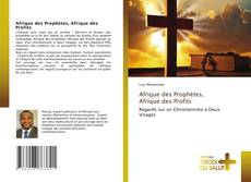 Afrique des Prophètes, Afrique des Profits的封面