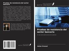 Buchcover von Pruebas de resistencia del sector bancario