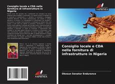 Buchcover von Consiglio locale e CDA nella fornitura di infrastrutture in Nigeria