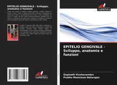 Buchcover von EPITELIO GENGIVALE - Sviluppo, anatomia e funzioni