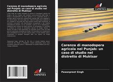 Copertina di Carenza di manodopera agricola nel Punjab: un caso di studio nel distretto di Muktsar