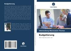 Borítókép a  Budgetierung - hoz