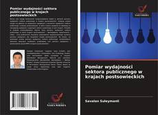 Buchcover von Pomiar wydajności sektora publicznego w krajach postsowieckich