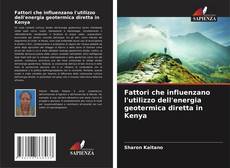 Buchcover von Fattori che influenzano l'utilizzo dell'energia geotermica diretta in Kenya