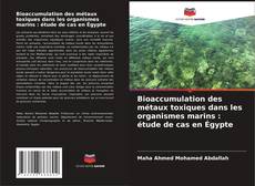 Bioaccumulation des métaux toxiques dans les organismes marins : étude de cas en Égypte kitap kapağı