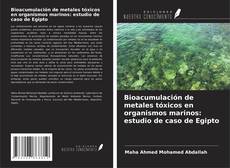 Bioacumulación de metales tóxicos en organismos marinos: estudio de caso de Egipto kitap kapağı