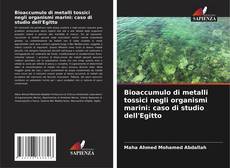Buchcover von Bioaccumulo di metalli tossici negli organismi marini: caso di studio dell'Egitto