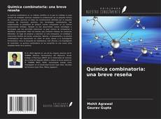Buchcover von Química combinatoria: una breve reseña