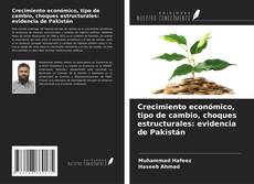 Crecimiento económico, tipo de cambio, choques estructurales: evidencia de Pakistán kitap kapağı