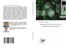Bookcover of Hydrogène Vert et Électricité Propre
