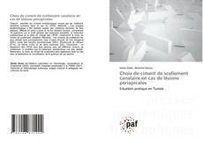 Couverture de Choix de ciment de scellement canalaire en cas de lésions périapicales