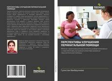 Bookcover of ПЕРСПЕКТИВЫ УЛУЧШЕНИЯ ПЕРИНАТАЛЬНОЙ ПОМОЩИ