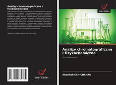 Analizy chromatograficzne i fizykochemiczne的封面
