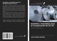 Couverture de Goethita y hematites para la recuperación de Zn (II)