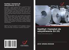 Goethyt i hematyt do odzyskiwania Zn (II)的封面