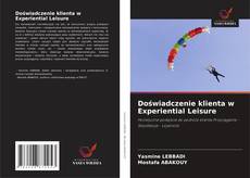 Doświadczenie klienta w Experiential Leisure的封面