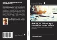 Buchcover von Gestión de riesgos ante nuevas formas de peligro