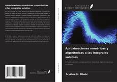 Copertina di Aproximaciones numéricas y algorítmicas a las integrales solubles