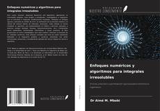 Copertina di Enfoques numéricos y algoritmos para integrales irresolubles