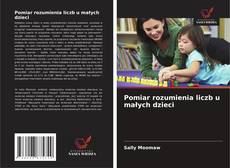 Buchcover von Pomiar rozumienia liczb u małych dzieci