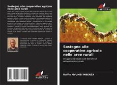 Sostegno alle cooperative agricole nelle aree rurali kitap kapağı