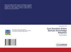 Cost Sensitive Online Domain Knowledge Adaption kitap kapağı