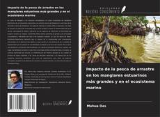 Buchcover von Impacto de la pesca de arrastre en los manglares estuarinos más grandes y en el ecosistema marino