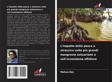 L'impatto della pesca a strascico sulle più grandi mangrovie estuariane e sull'ecosistema offshore kitap kapağı
