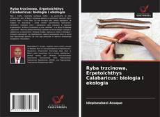 Copertina di Ryba trzcinowa, Erpetoichthys Calabaricus: biologia i ekologia