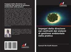 Impegni della direzione nei confronti dei sistemi di gestione ambientale nella pratica kitap kapağı