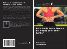 Copertina di Enfoque de estabilización del núcleo en el dolor lumbar
