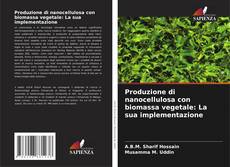 Produzione di nanocellulosa con biomassa vegetale: La sua implementazione kitap kapağı