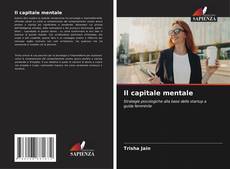 Capa do livro de Il capitale mentale 