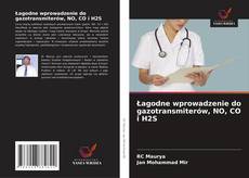 Copertina di Łagodne wprowadzenie do gazotransmiterów, NO, CO i H2S