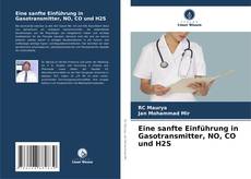 Bookcover of Eine sanfte Einführung in Gasotransmitter, NO, CO und H2S