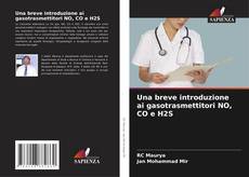 Una breve introduzione ai gasotrasmettitori NO, CO e H2S kitap kapağı
