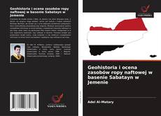 Geohistoria i ocena zasobów ropy naftowej w basenie Sabatayn w Jemenie的封面
