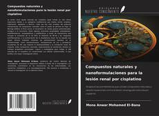 Buchcover von Compuestos naturales y nanoformulaciones para la lesión renal por cisplatino