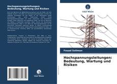 Capa do livro de Hochspannungsleitungen: Bedeutung, Wartung und Risiken 