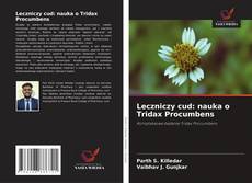 Copertina di Leczniczy cud: nauka o Tridax Procumbens