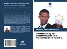 Bookcover of Untersuchung der Determinanten von Investitionen in Namibia