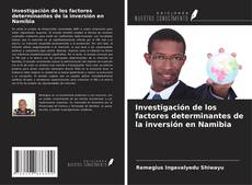 Buchcover von Investigación de los factores determinantes de la inversión en Namibia