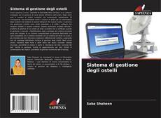 Sistema di gestione degli ostelli kitap kapağı