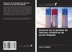 Avances en el pandeo de láminas cilíndricas de pared delgada的封面