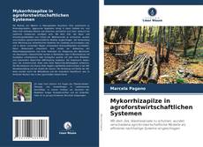 Mykorrhizapilze in agroforstwirtschaftlichen Systemen的封面