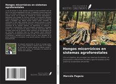 Buchcover von Hongos micorrízicos en sistemas agroforestales