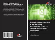 DEGRADO DELLA RISPOSTA IN MAGNITUDINE DELL'AMPLIFICATORE DI FUNZIONAMENTO E SUA CORREZIONE kitap kapağı