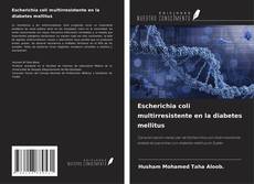 Copertina di Escherichia coli multirresistente en la diabetes mellitus