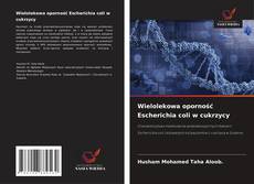 Buchcover von Wielolekowa oporność Escherichia coli w cukrzycy