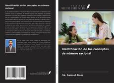 Copertina di Identificación de los conceptos de número racional